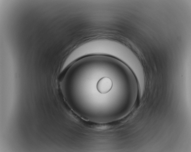 X0000115530313200911061445