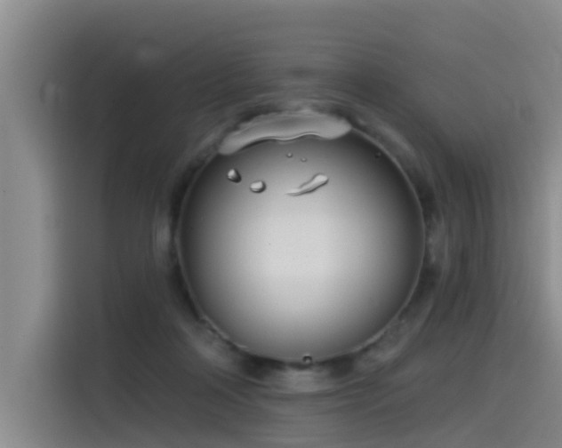 X0000115530314200911061445