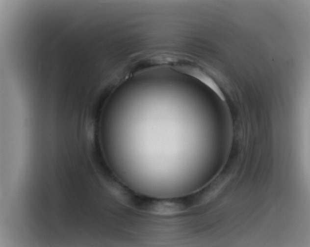 X0000115530315200911061445