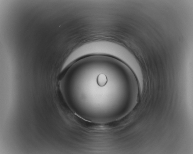 X0000115530316200911061445