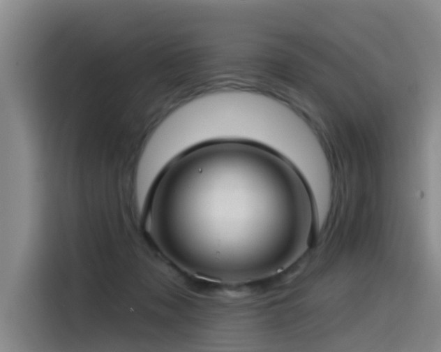 X0000115530317200911061445