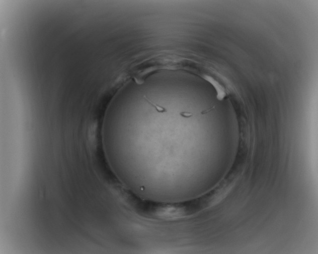 X0000115530319200911061445