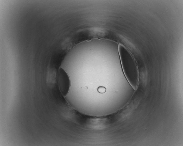 X0000115530323200911061445