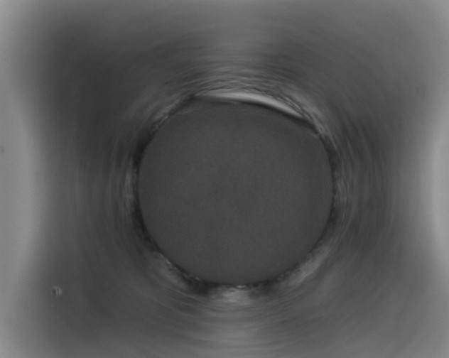 X0000115530325200911061445