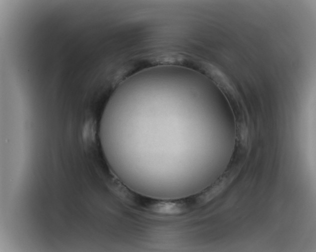 X0000115530326200911061445