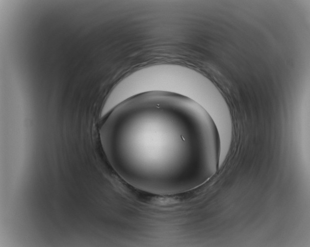 X0000115530327200911061445