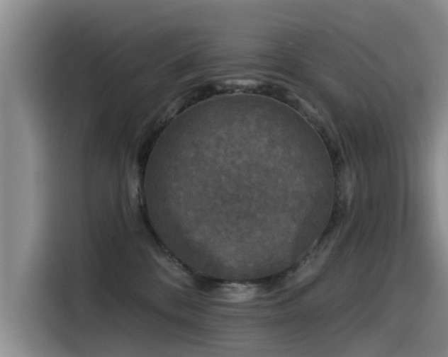 X0000115530328200911061445