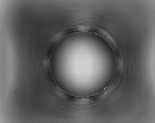 X0000115530329200911061445