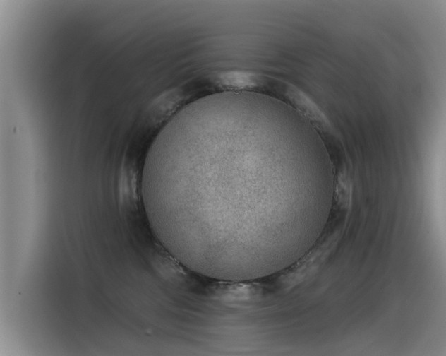 X0000115530330200911061445