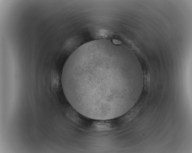 X0000115530331200911061445