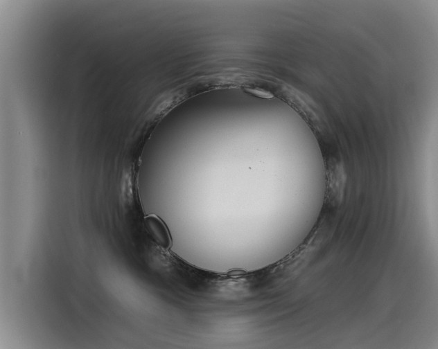 X0000115530333200911061445