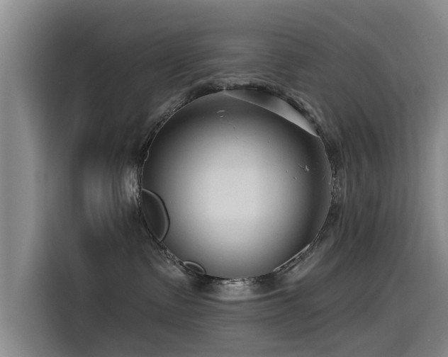 X0000115530335200911061445