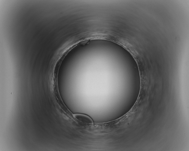 X0000115530338200911061444