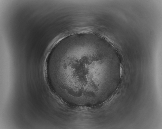 X0000115530339200911061444