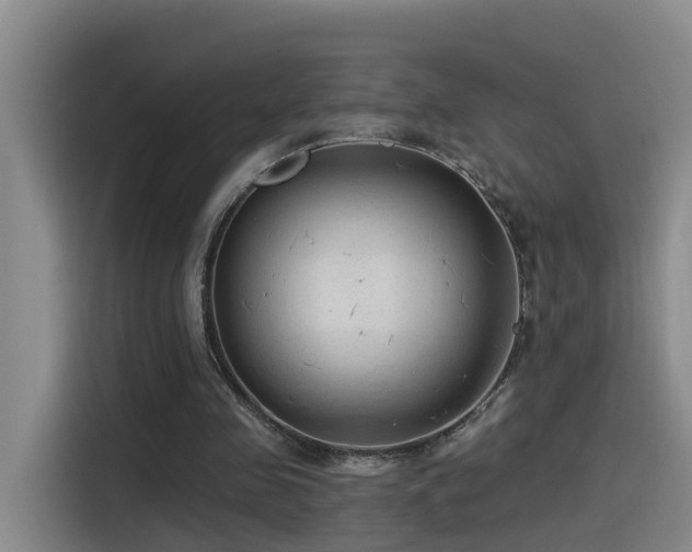 X0000115530341200911061444