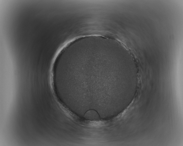 X0000115530342200911061444