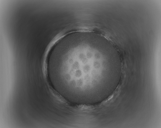 X0000115530343200911061444