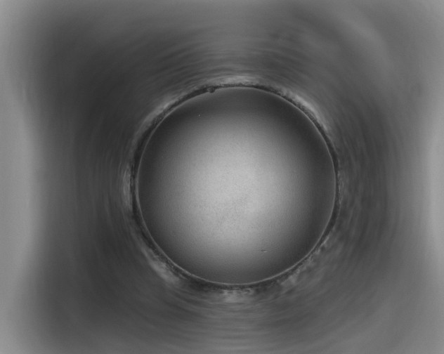 X0000115530345200911061444