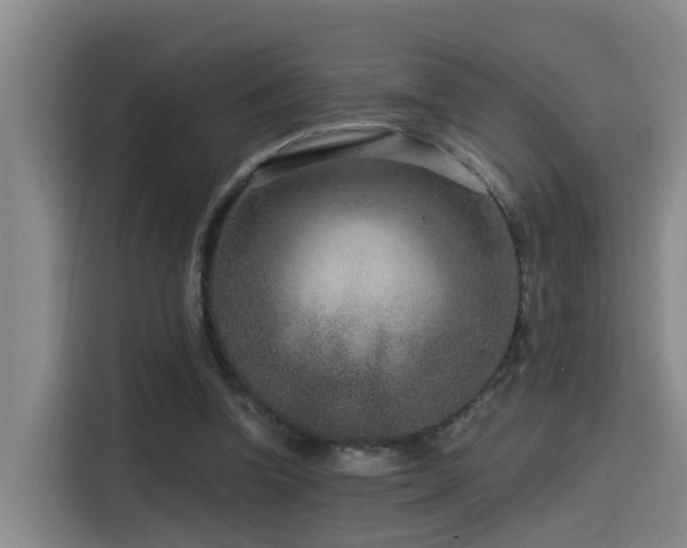 X0000115530346200911061444