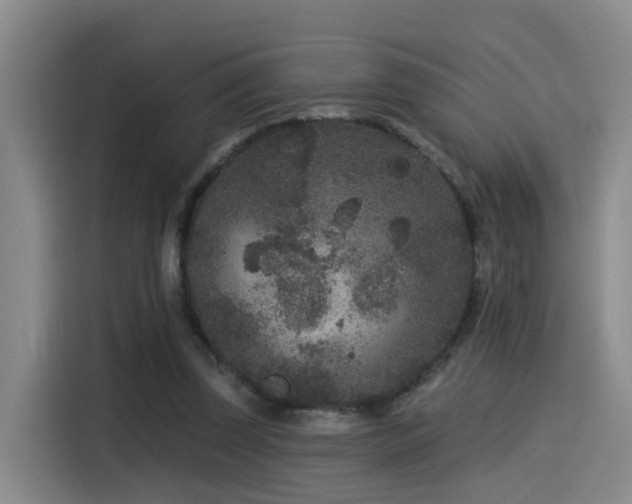 X0000115530347200911061444