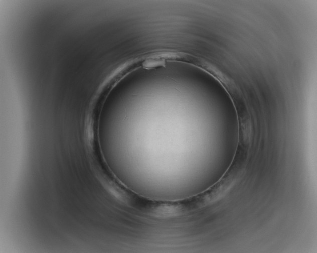 X0000115530350200911061445