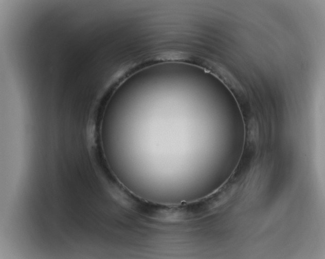 X0000115530351200911061445