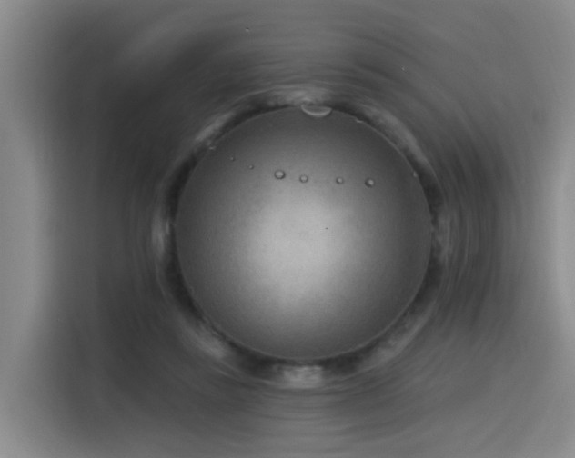 X0000115530355200911061445