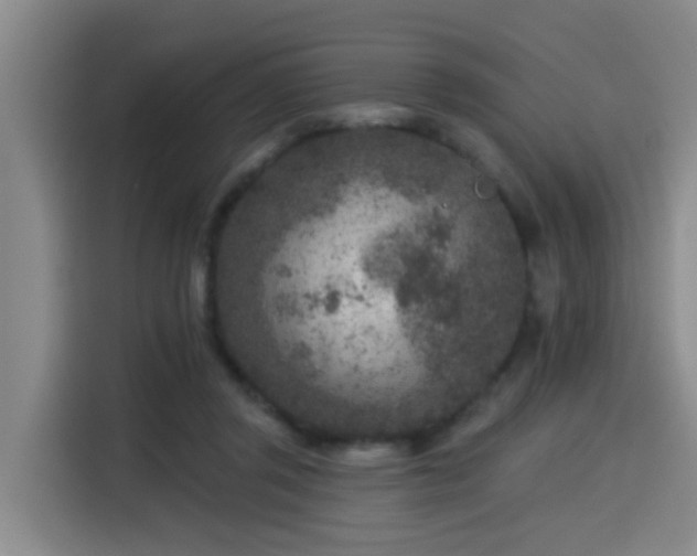 X0000115530357200911061445