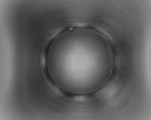 X0000115530358200911061445