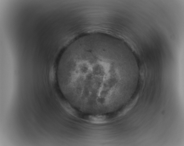 X0000115530359200911061445