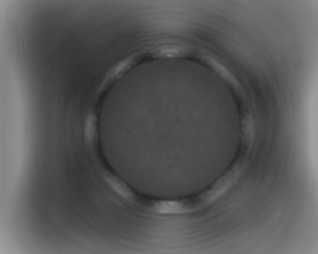 X0000115530361200911061445