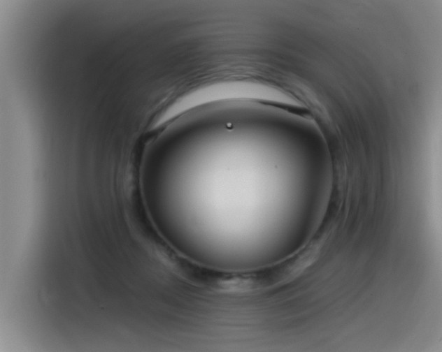 X0000115530362200911061445