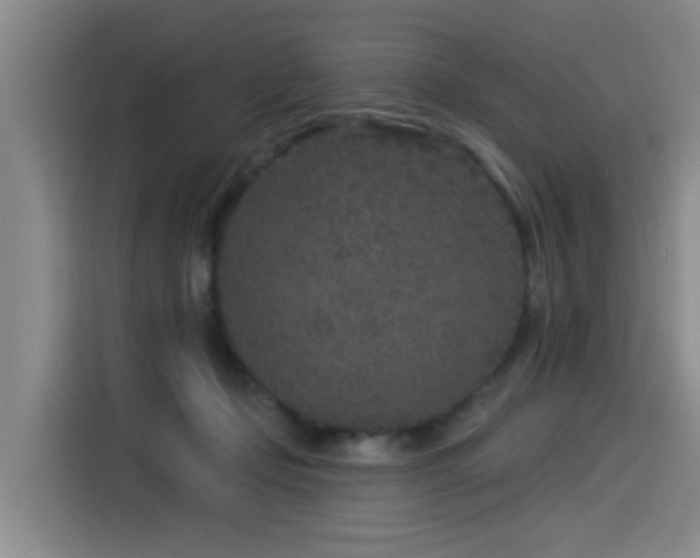 X0000115530365200911061445