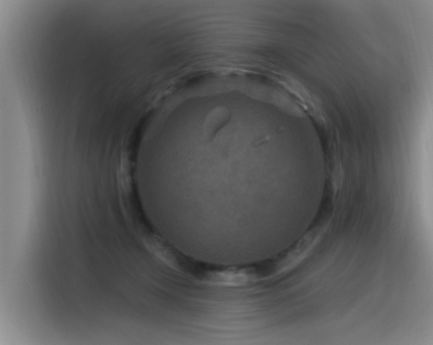 X0000115530366200911061445