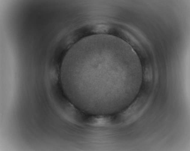 X0000115530370200911061445