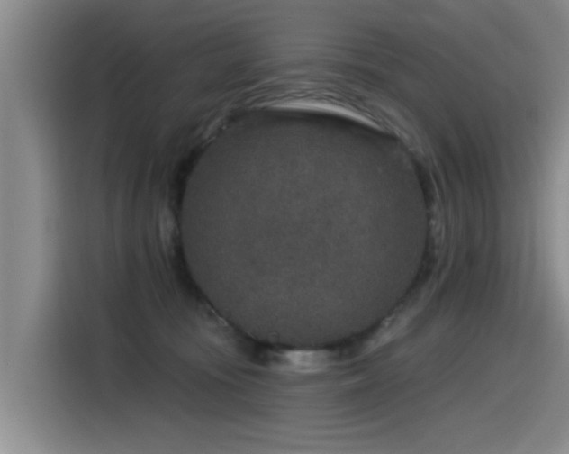 X0000115530371200911061445