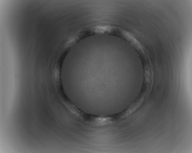 X0000115530375200911061445