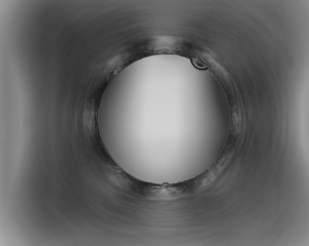 X0000115530379200911061445