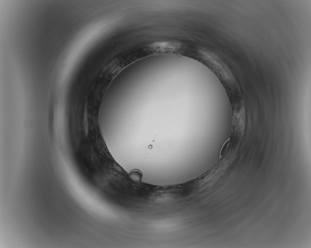 X0000115530381200911061445