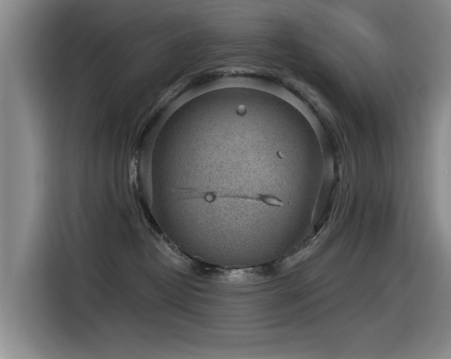 X0000115530382200911061445