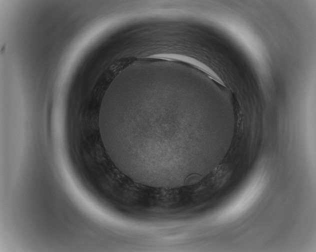 X0000115530383200911061445