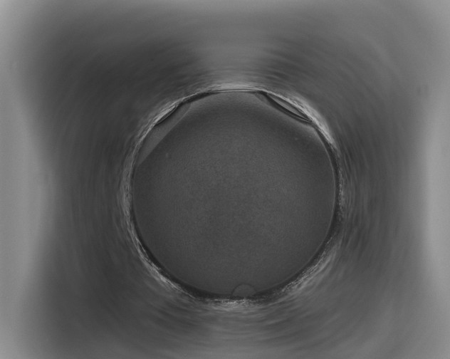 X0000115530385200911061444