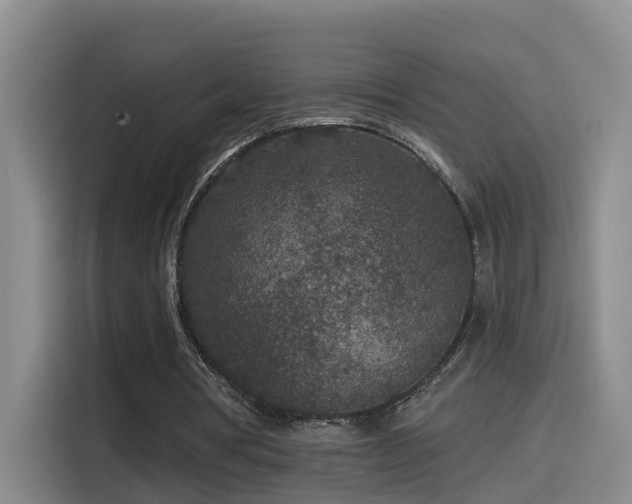 X0000115530386200911061444