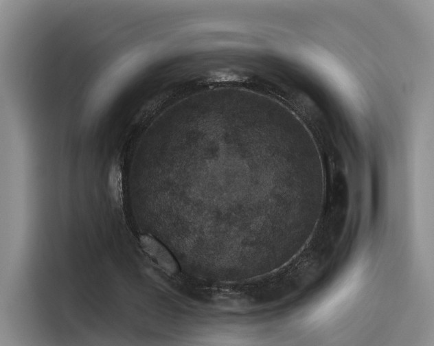 X0000115530387200911061444