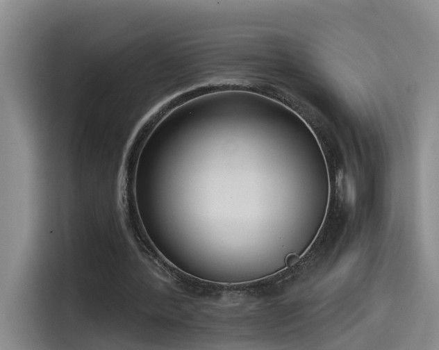 X0000115530388200911061444