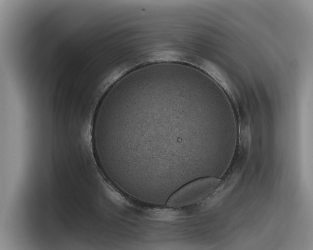 X0000115530389200911061444