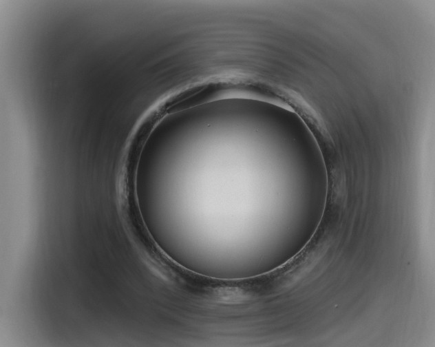 X0000115530392200911061444