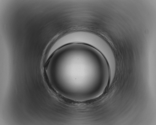 X0000115530395200911061444