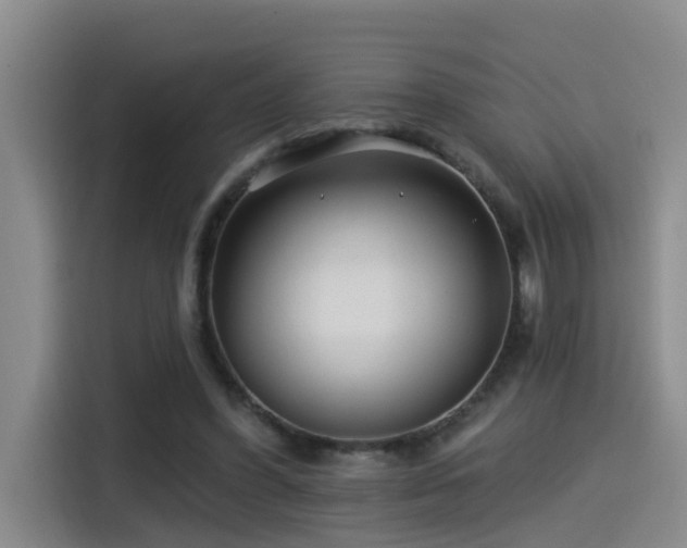 X0000115530396200911061444