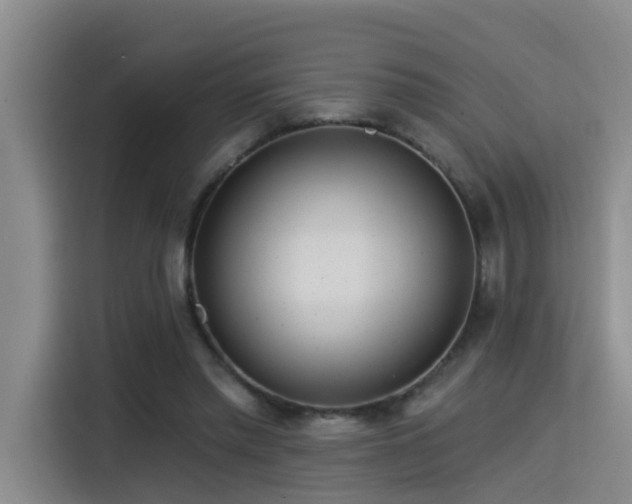 X0000115530397200911061444